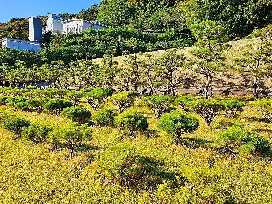 곤지암수목장 전경