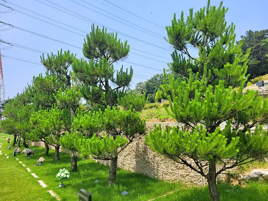 화성수목장 전경